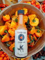 Bacchanal Pepper Sauce | Signature Scotch Bonnet Hot Sauce | Caribbean Hot Sauce Gift | Bacchanal Hot Sauce